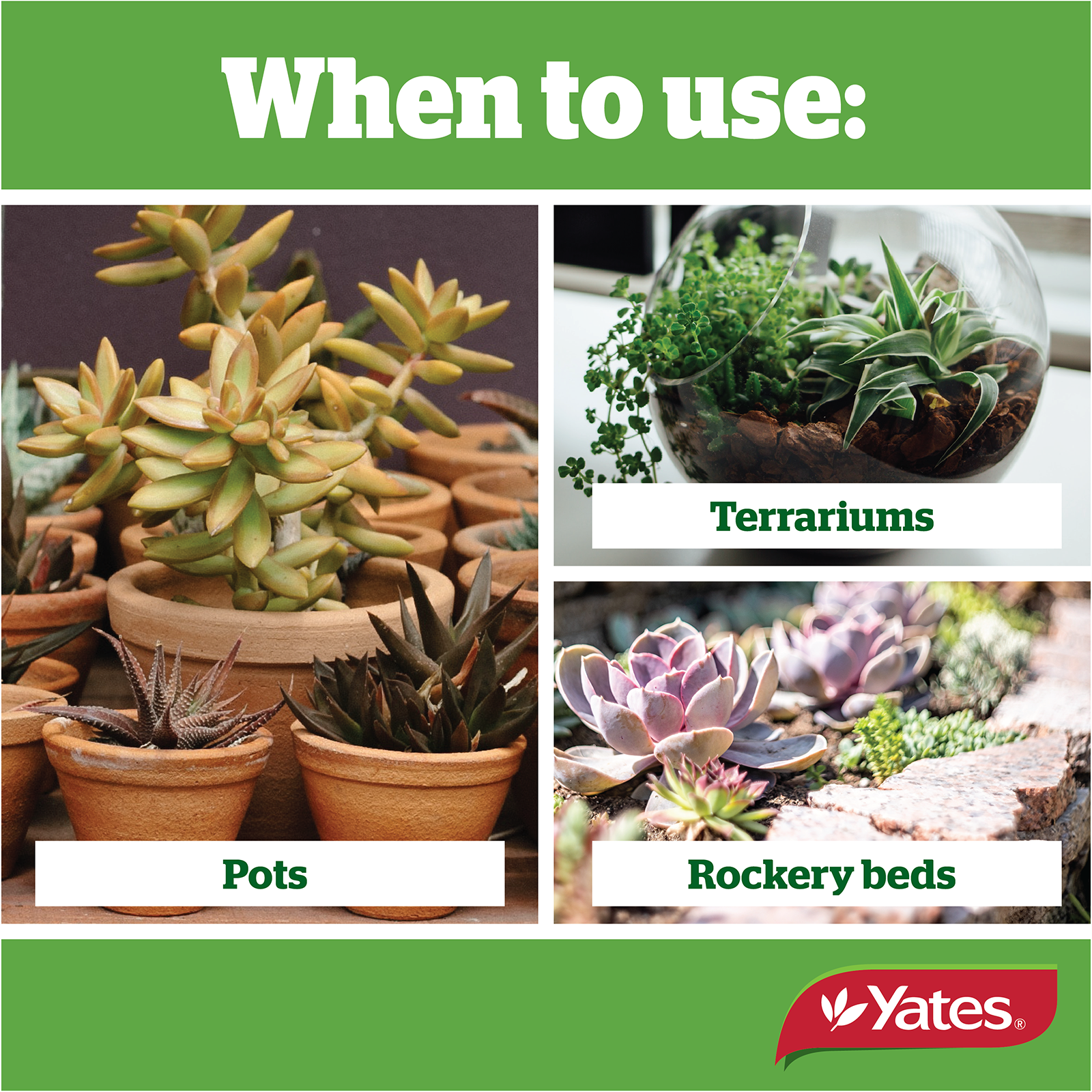 Yates Thrive Cacti Mix V2 06