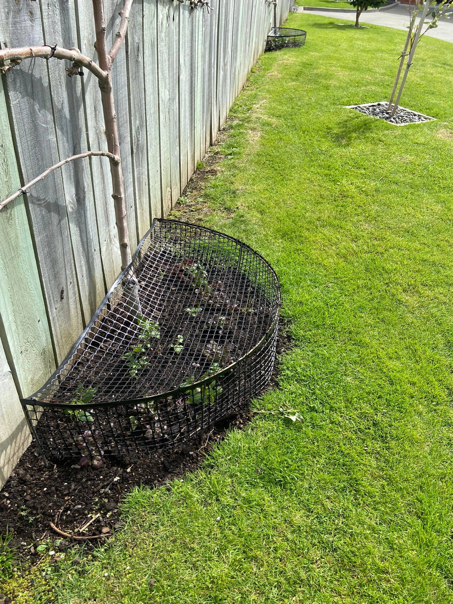 Foiling the Felines... and the birds.