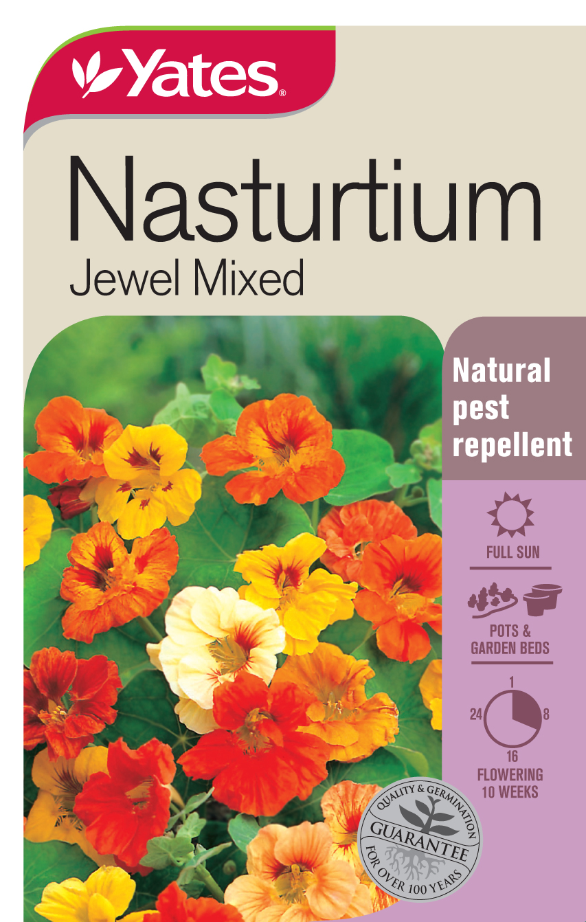 Nasturtium 'Jewel Mixed'