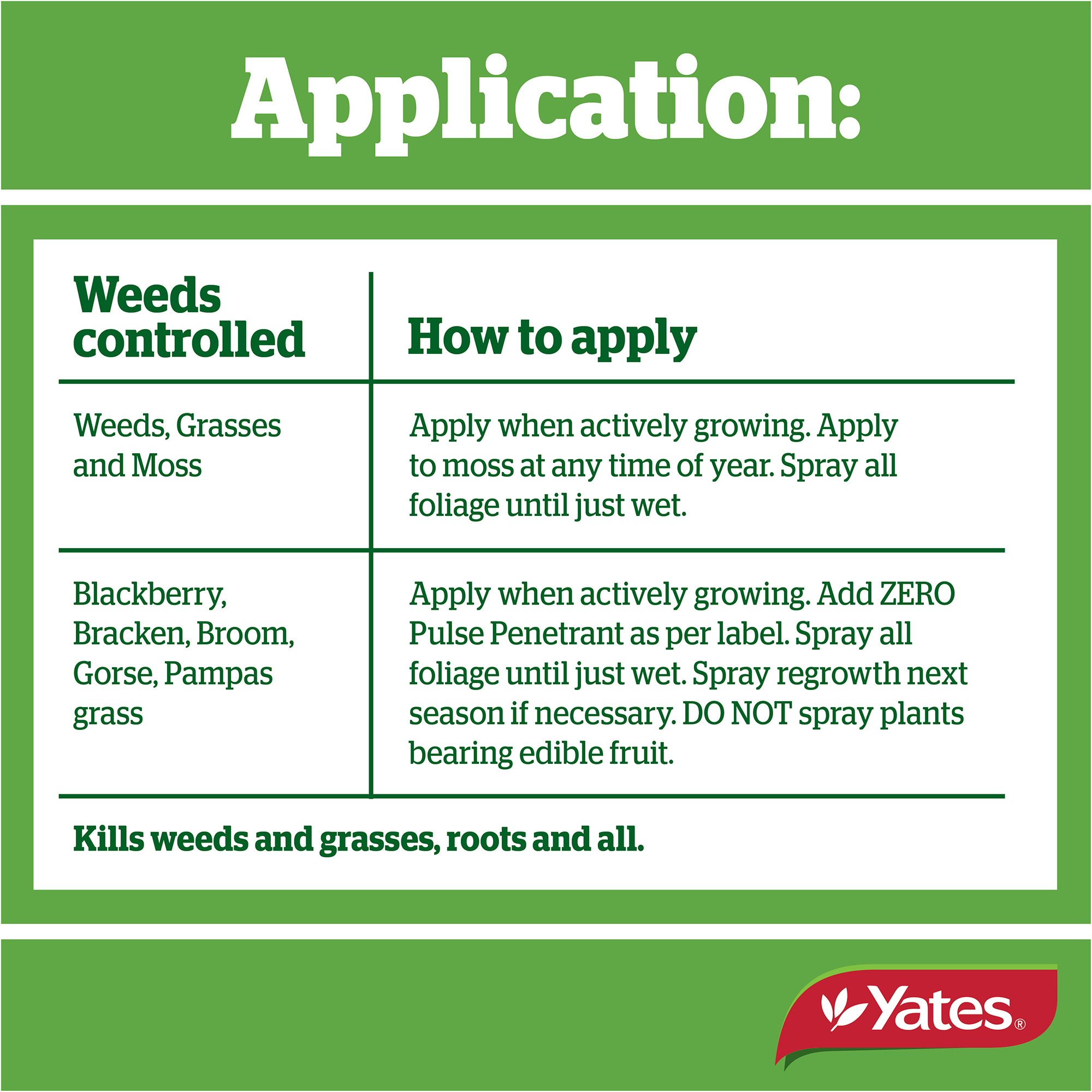 Yates Web Info ZERO RAPID V2 09