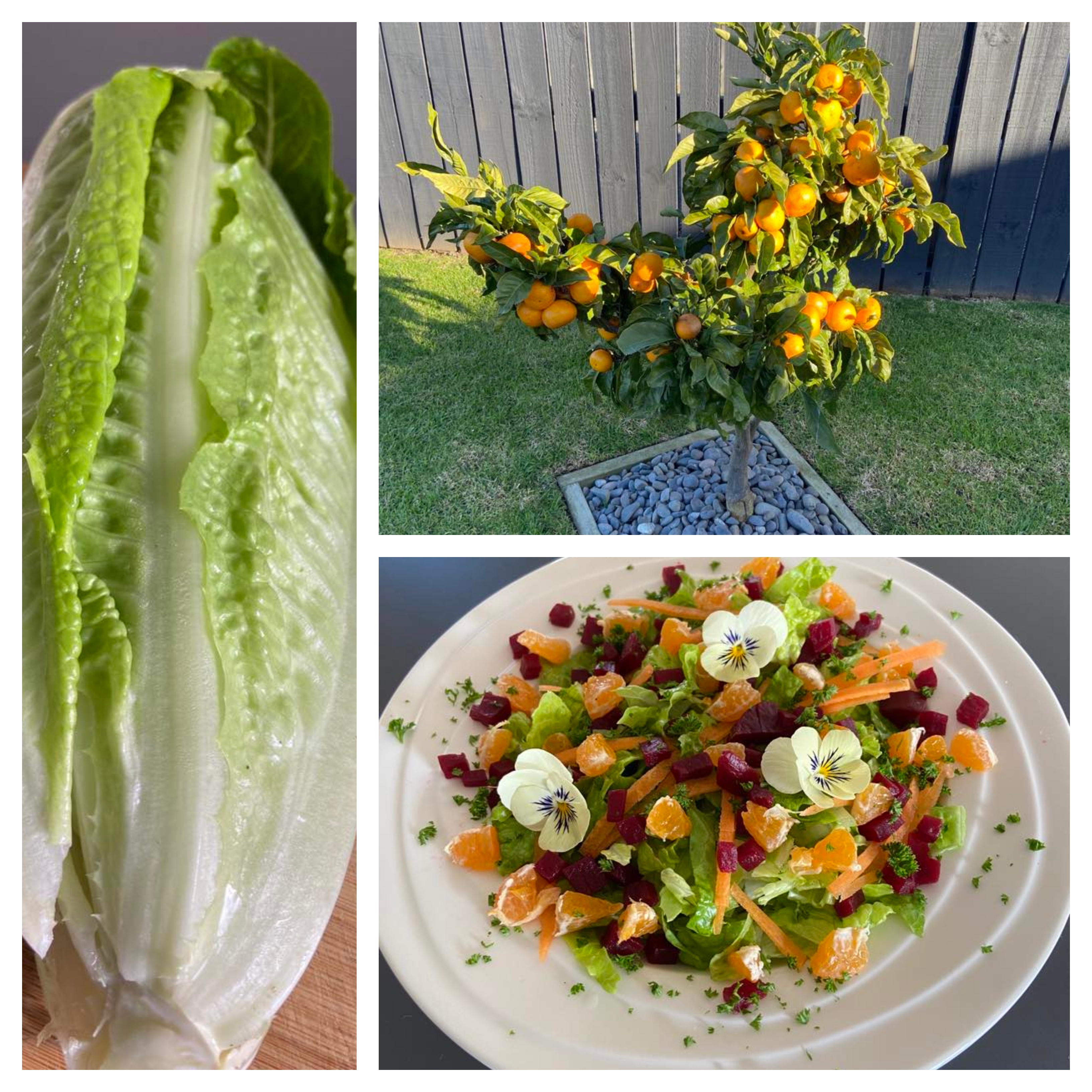 A little taste of Summer.