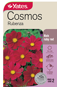 56162 Seed Cosmos Rubenza YATES