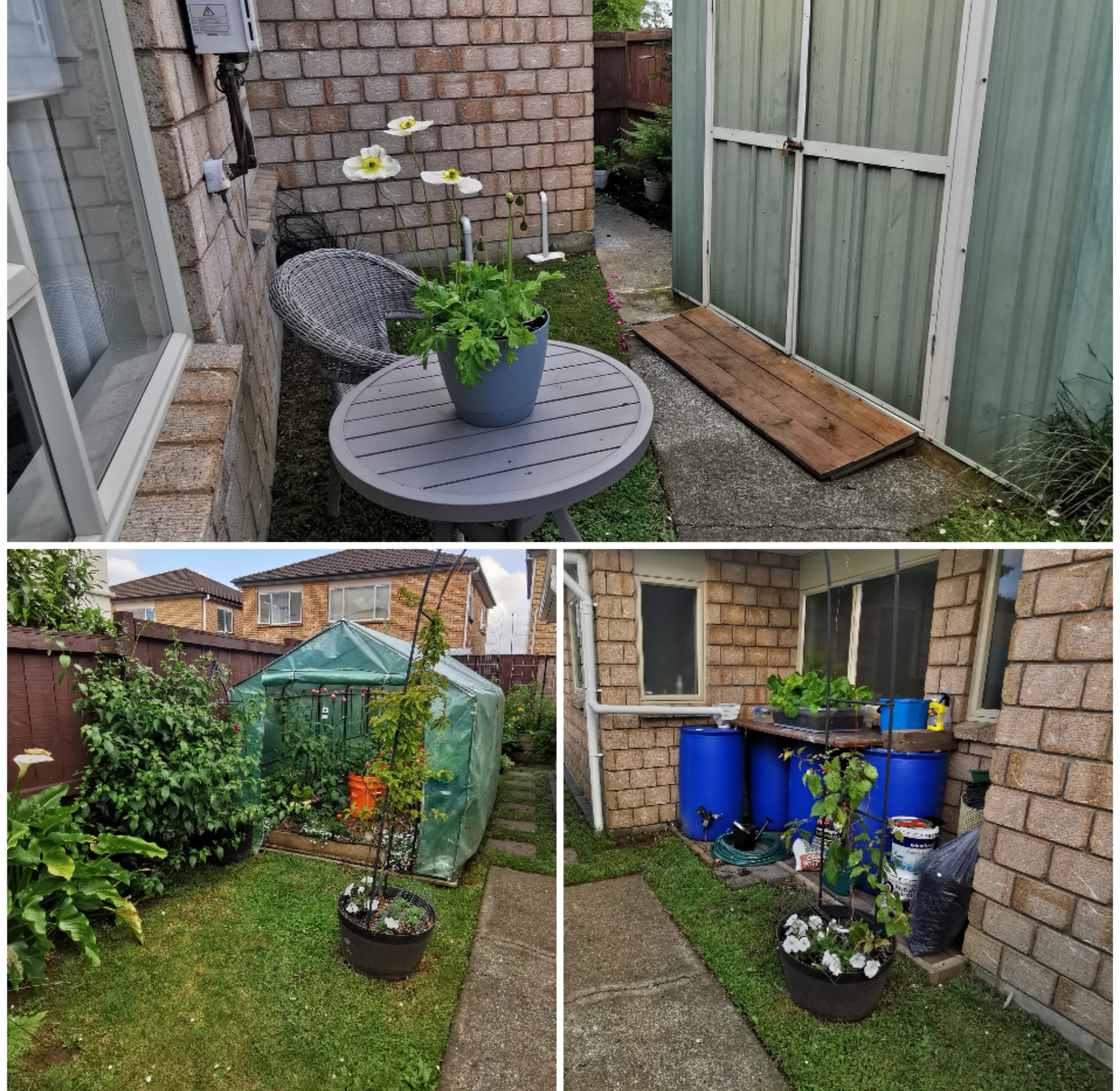 A Walk around the Garden 2