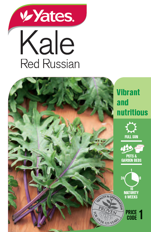 Kale 'Red Russian'