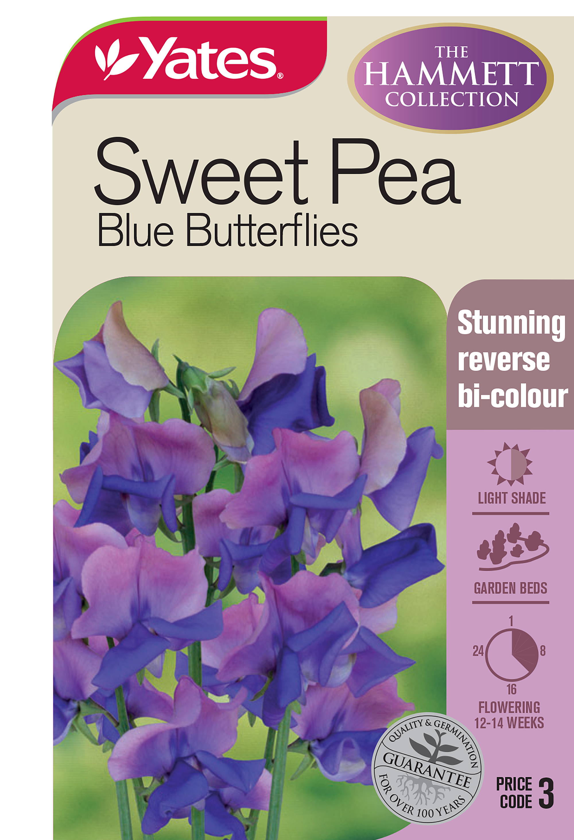 Sweet Pea 'Blue Butterflies'