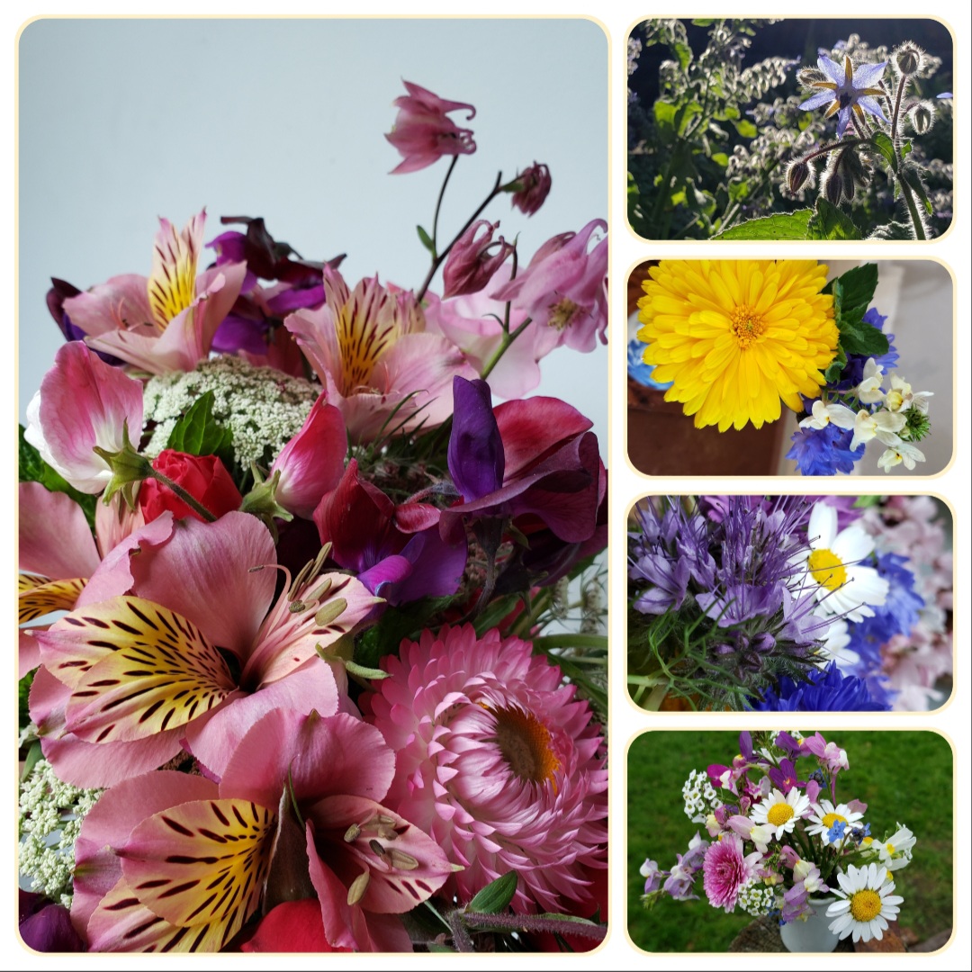 Let the truth be told