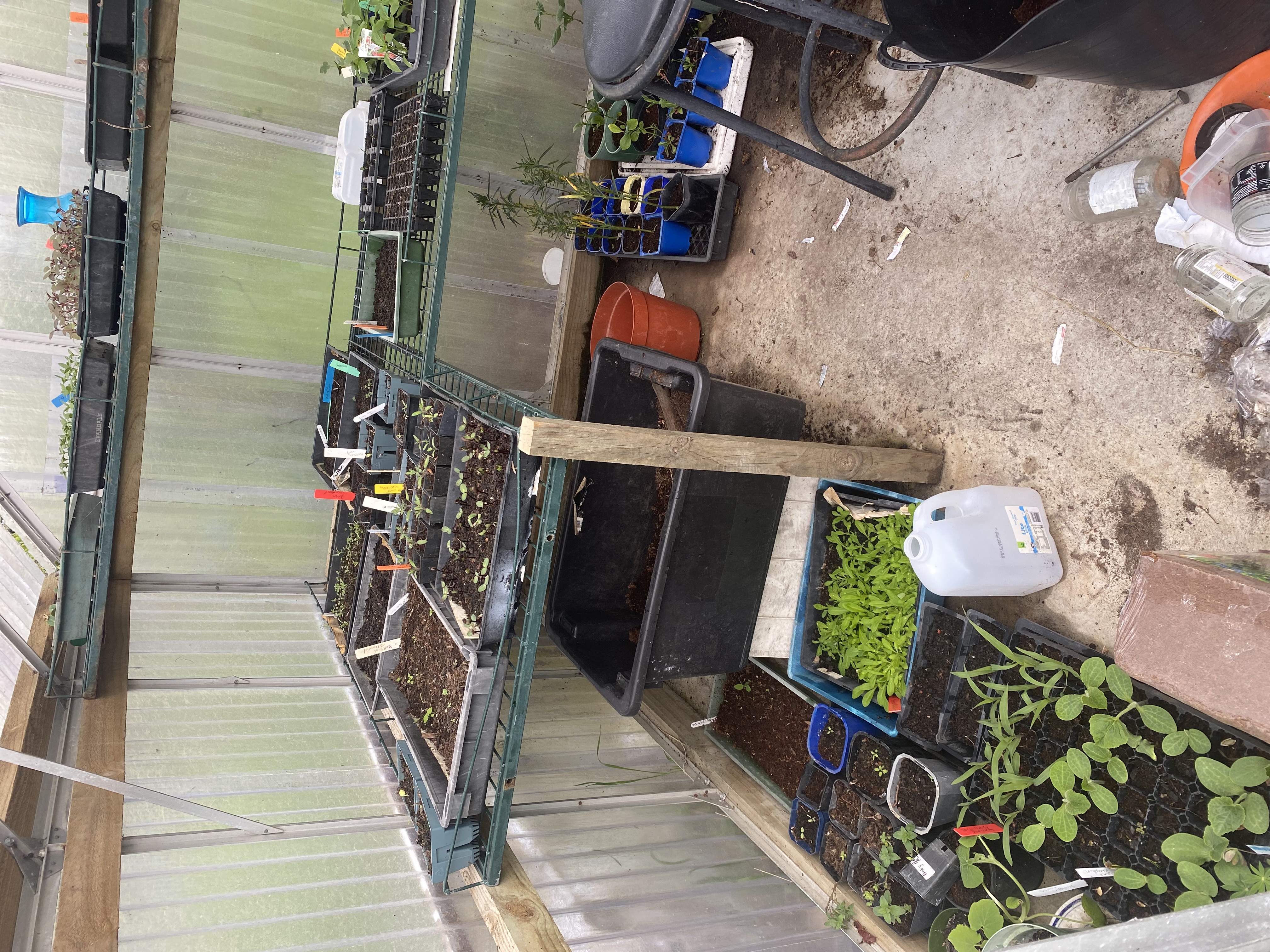 Little and infrequent 