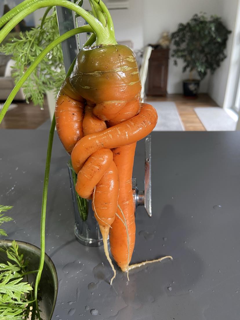 This is just ridiculous!