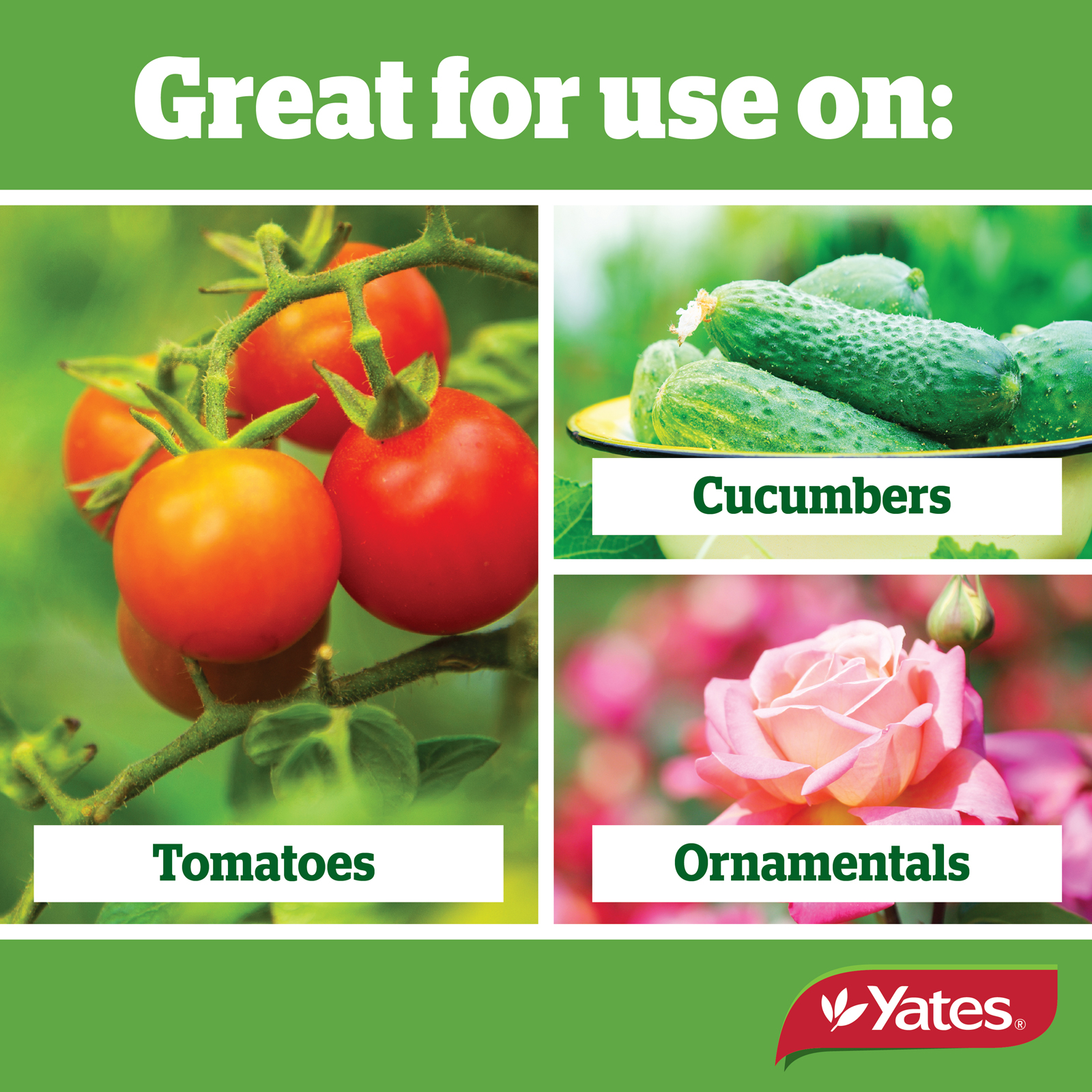 Yates Web Info LIQUID COPPER V2 03