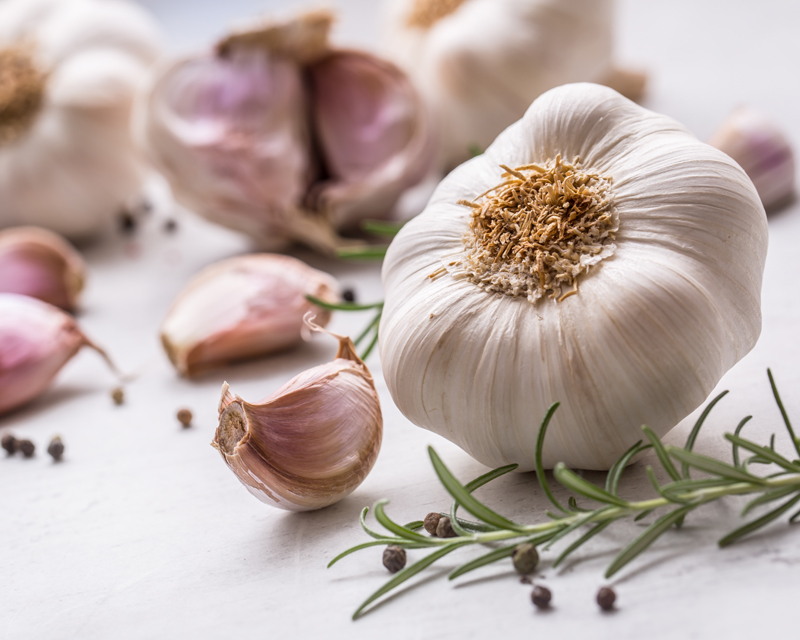In The Autumn Vegie Patch