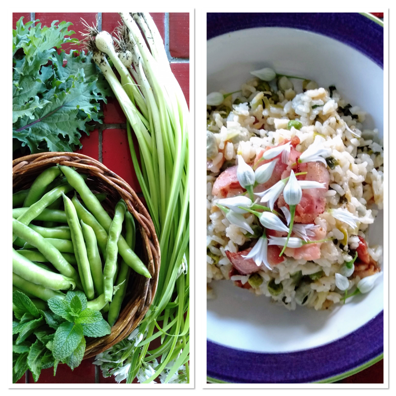 Green garden risotto
