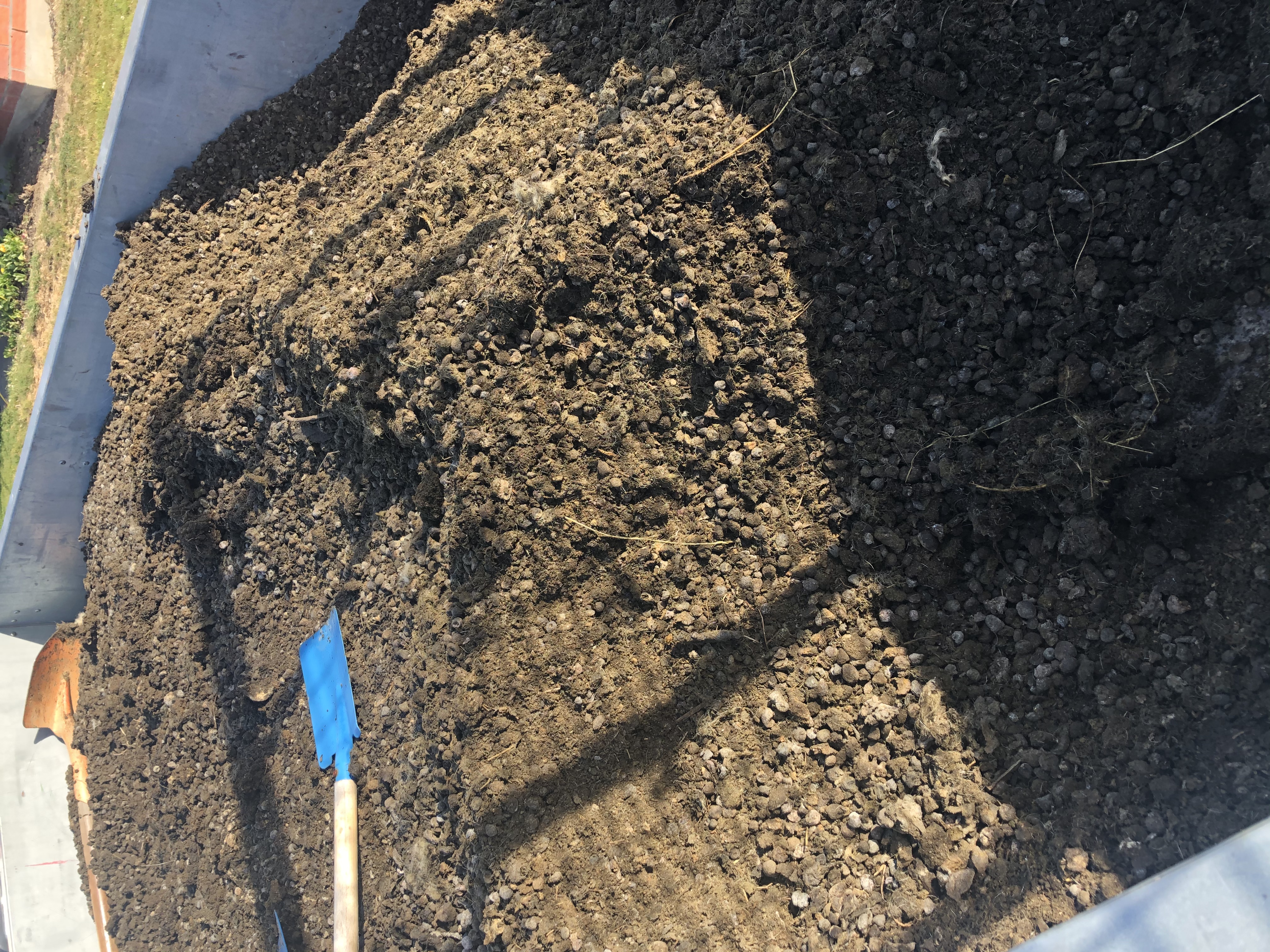 The things I get hubby to do....