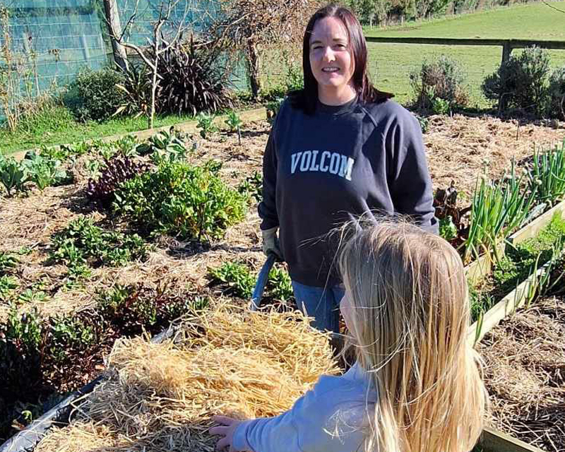 Welcome to Stacey's Garden