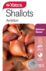 56199 Seed Shallots Ambition YATES