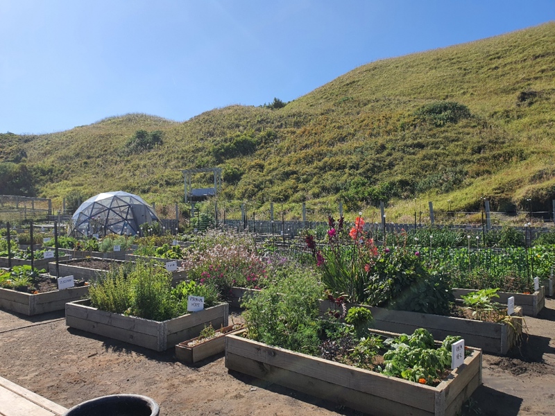 THANK YOU ALL SO MUCH