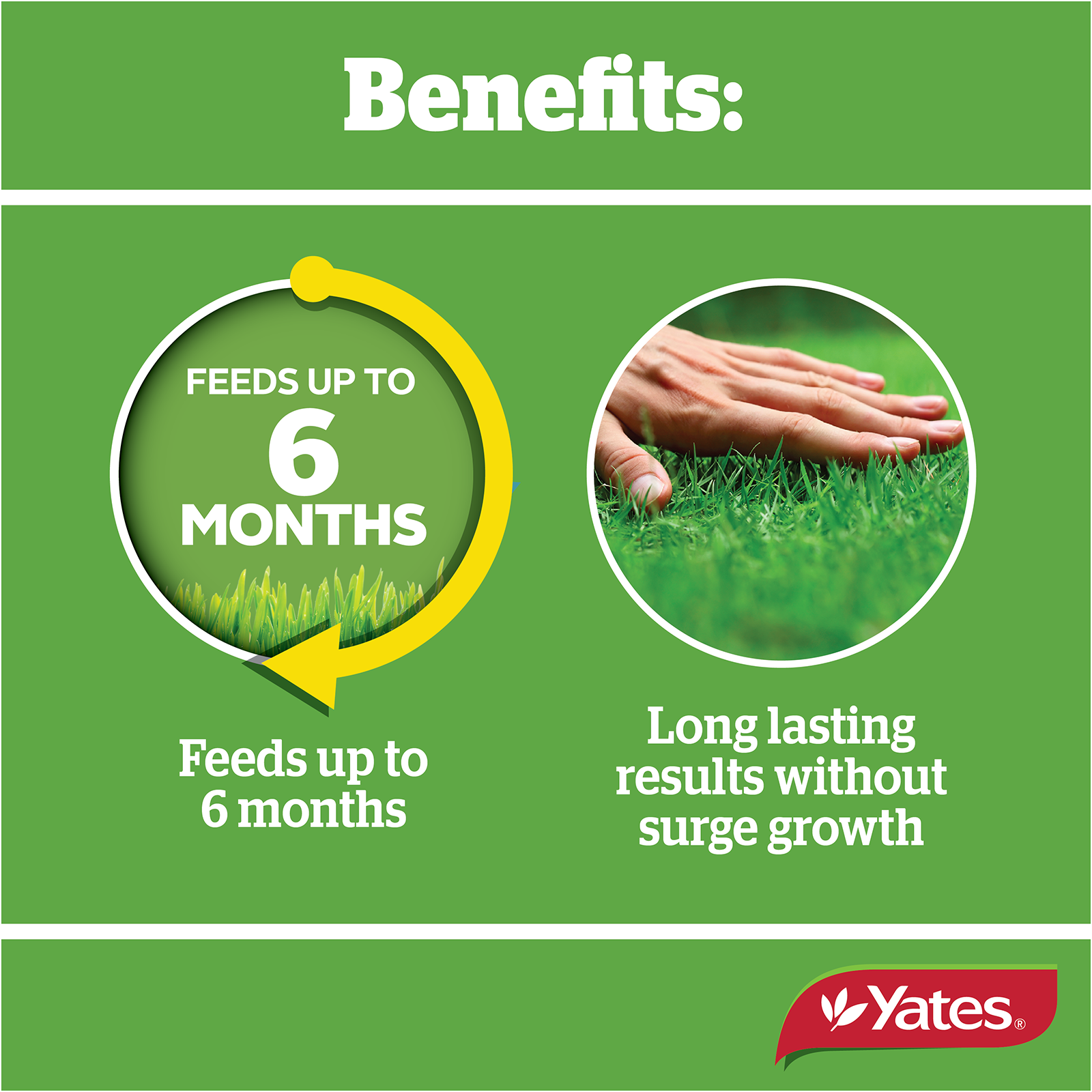 Lawn Fertiliser Twice A Yearv2 04