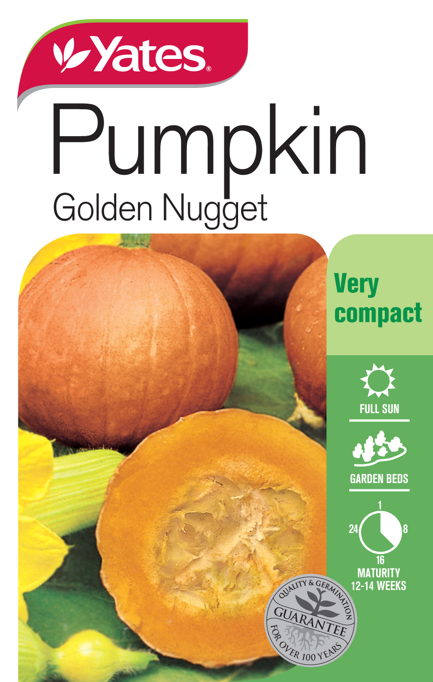 Pumpkin 'Golden Nugget' Heirloom
