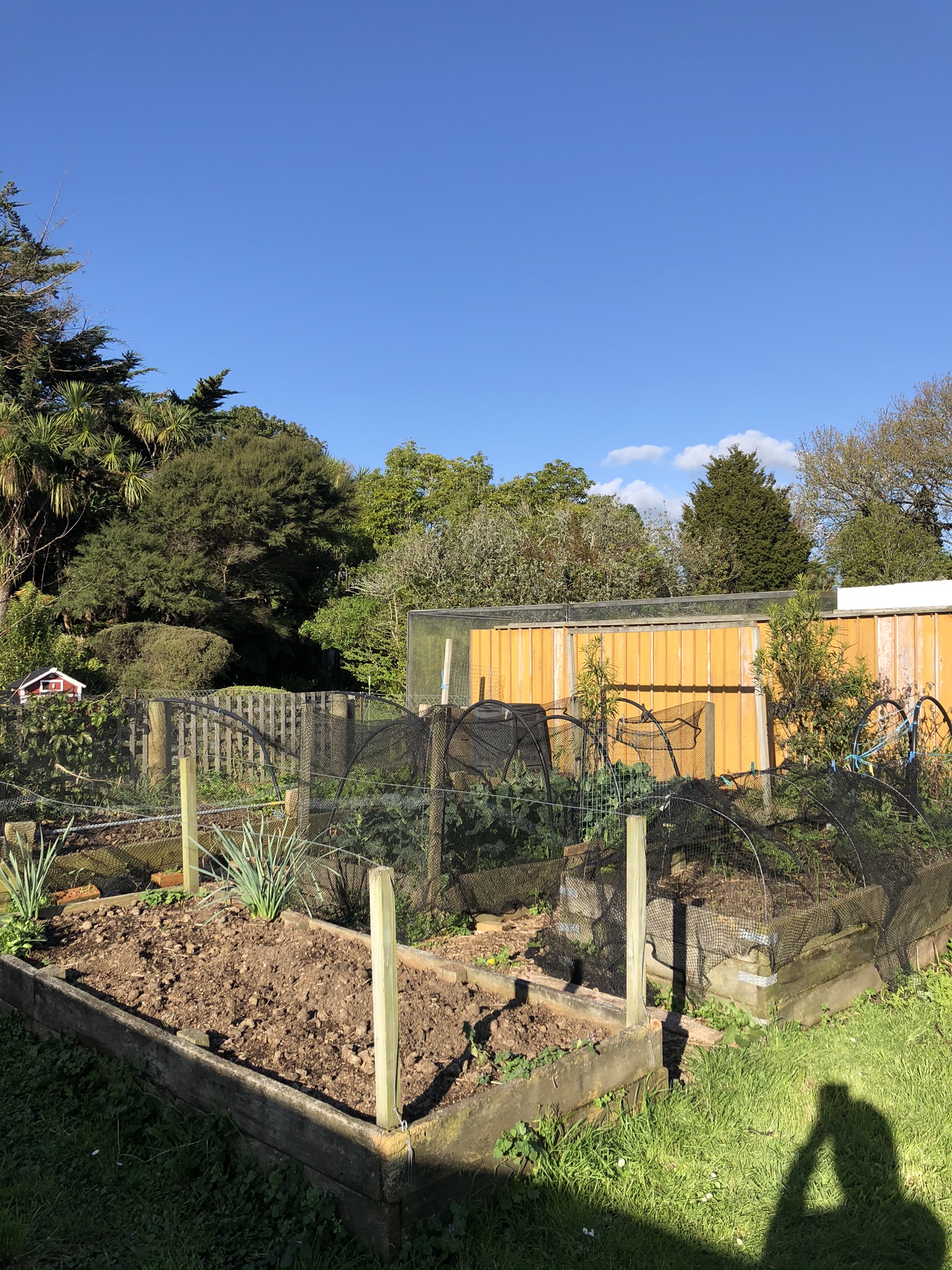 Springing into Spring!