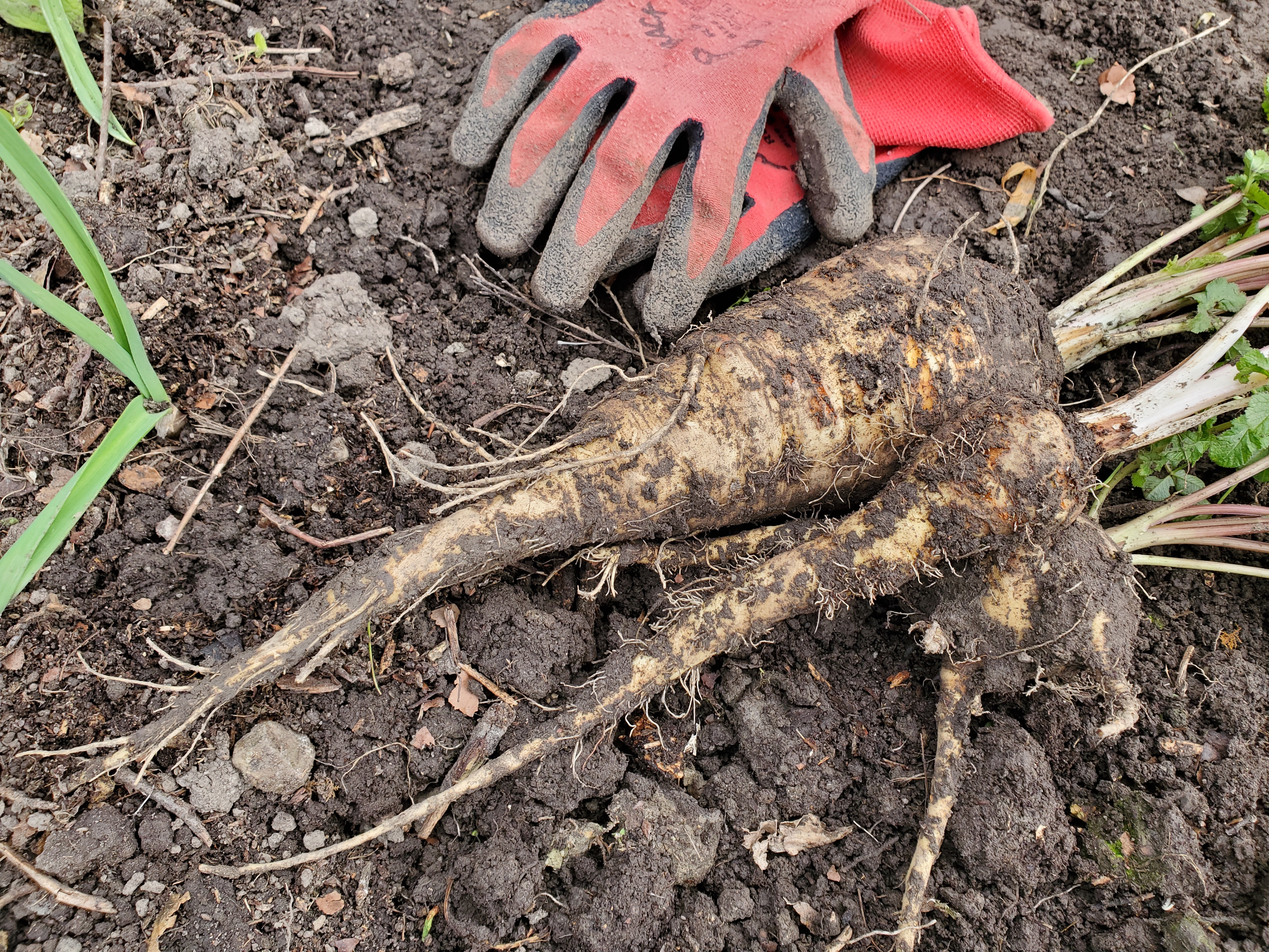 Surprises bad and good