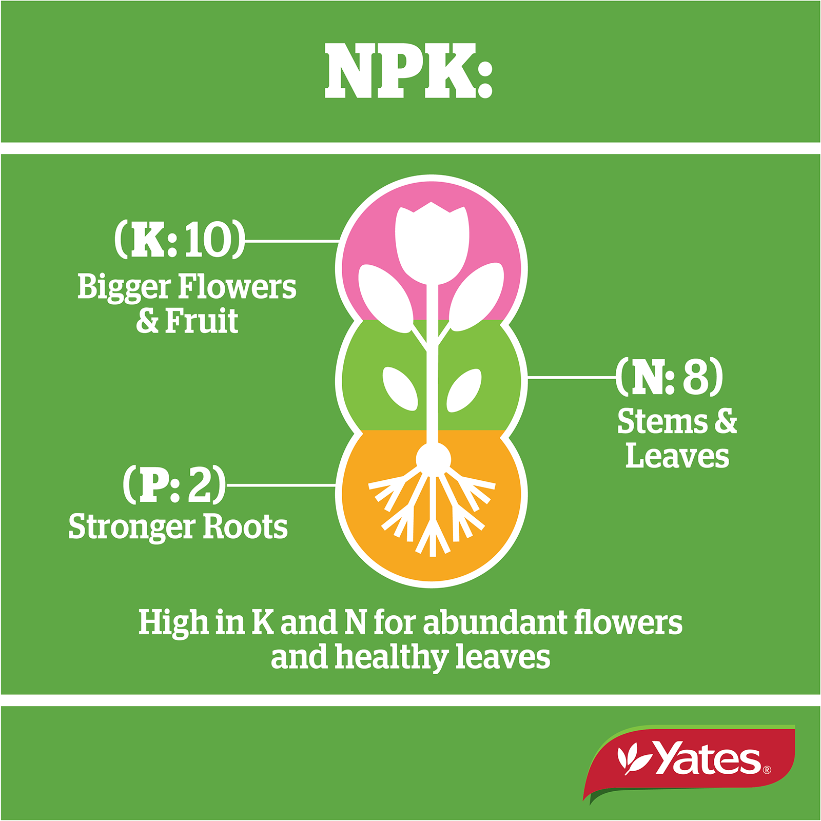 Yates Roses And Flowers Liquid V2 06