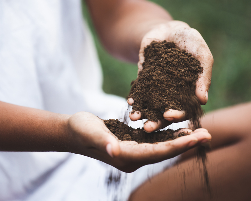 The Secret's in the Soil