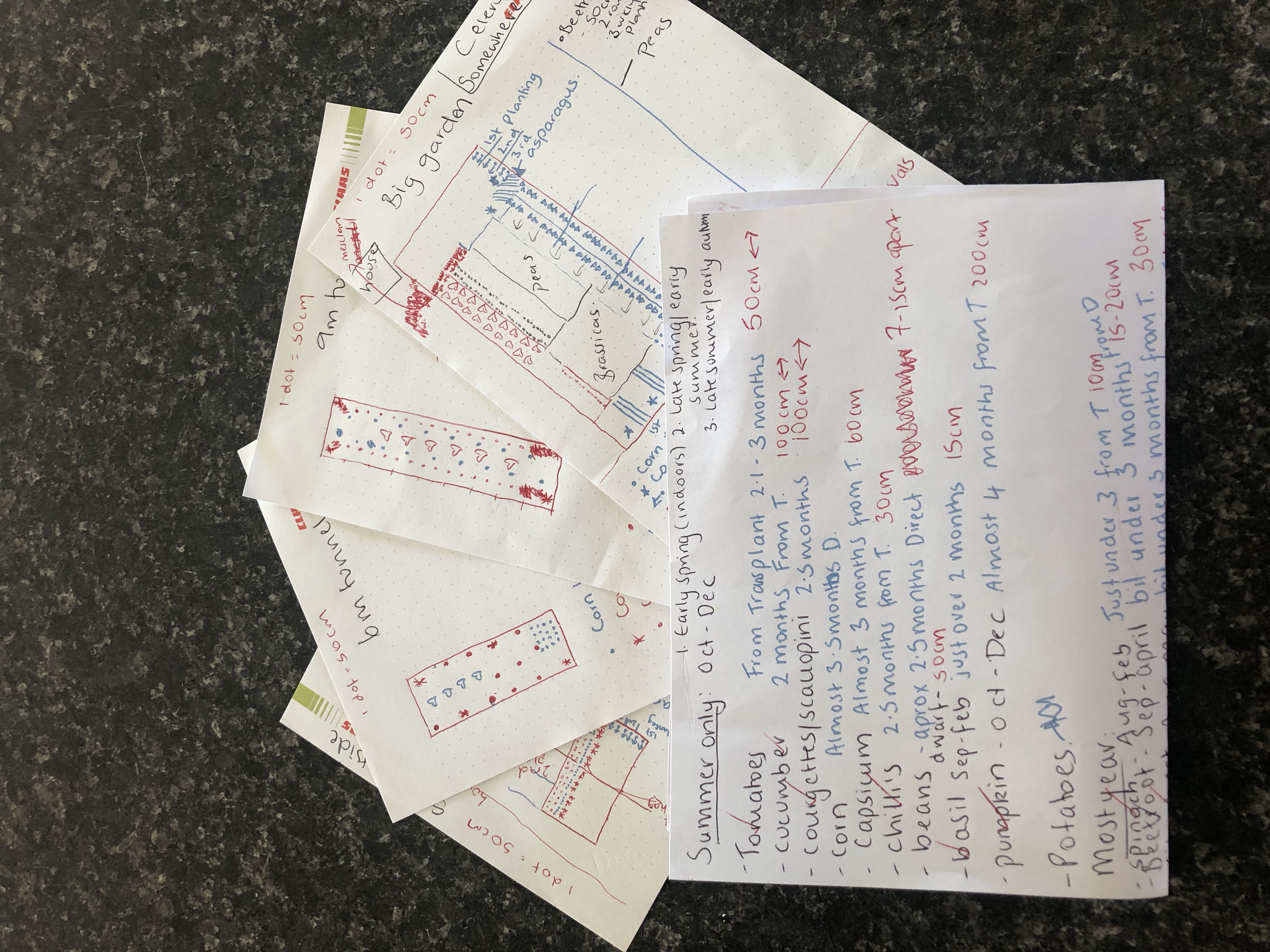 Happy first day of spring!