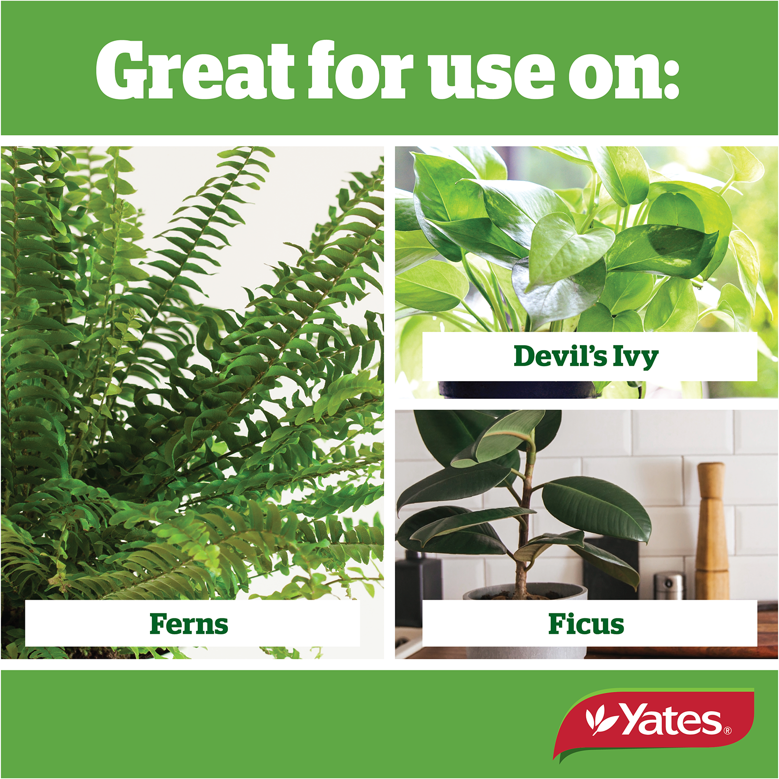Yates Plant Spikes Indoor V2 02