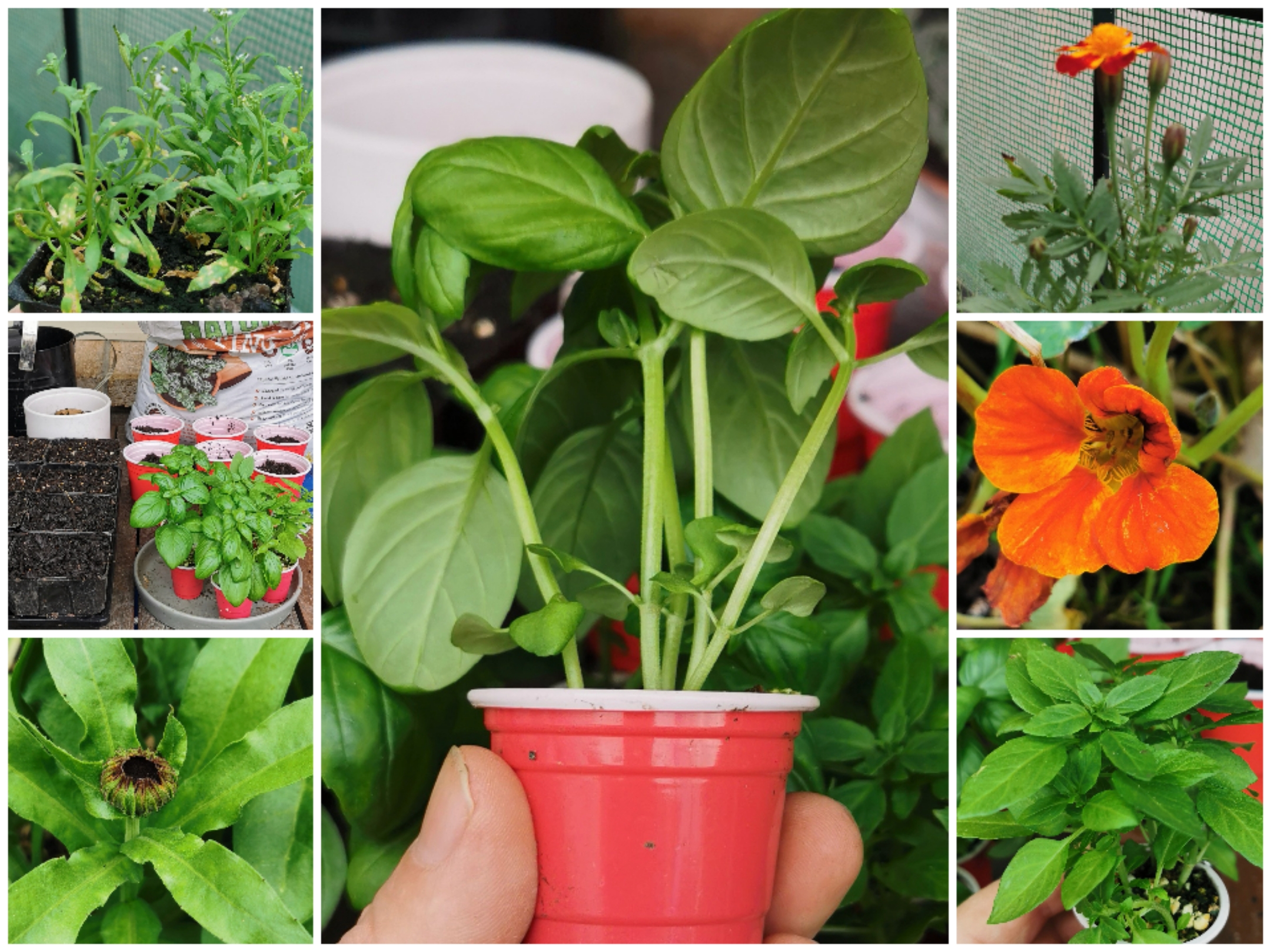 You've got a friend in me... 