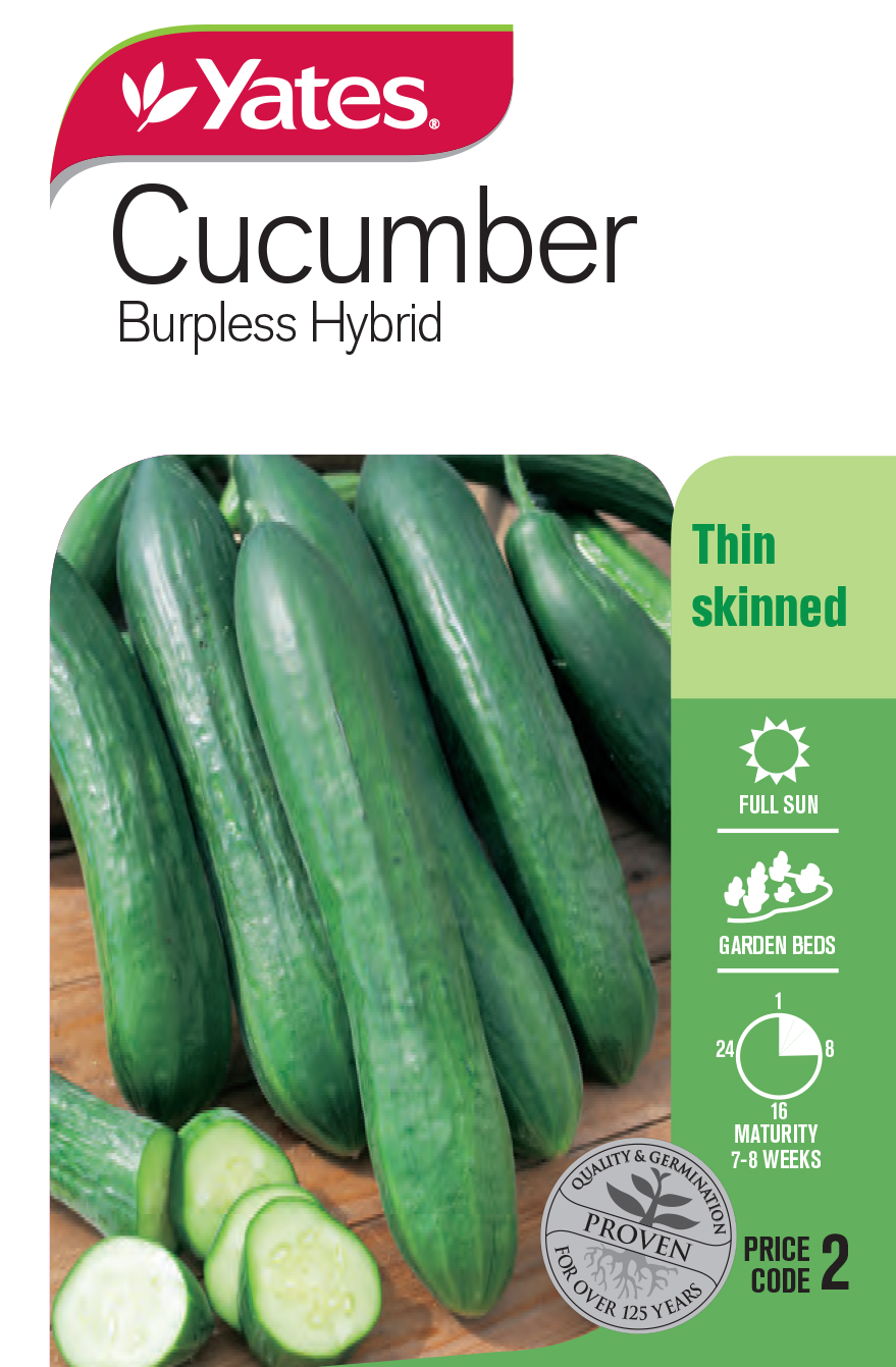 Cucumber 'Burpless' Hybrid