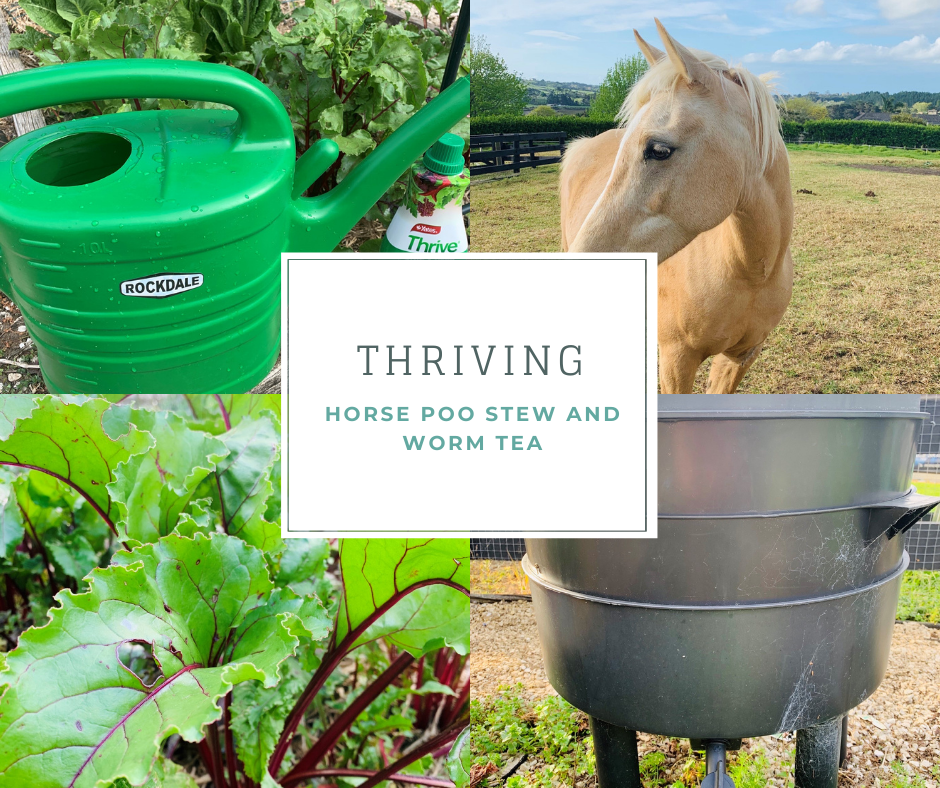 Thriving with Horse Poo Stew and Worm Tea