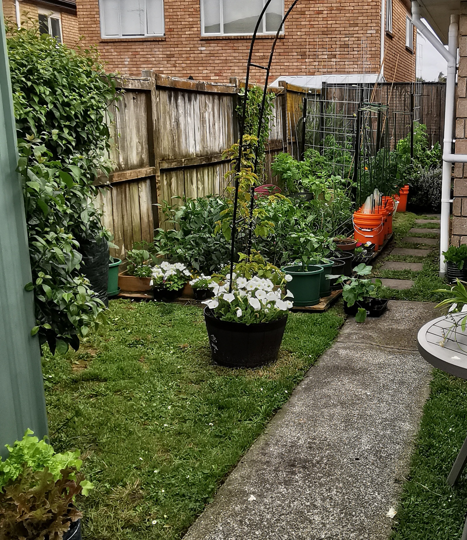  Starting to take shape. 