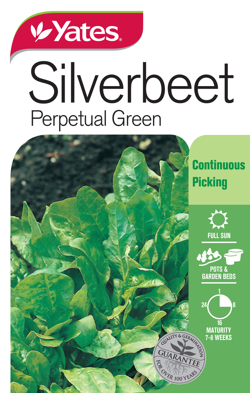 Silverbeet 'Perpetual Green'