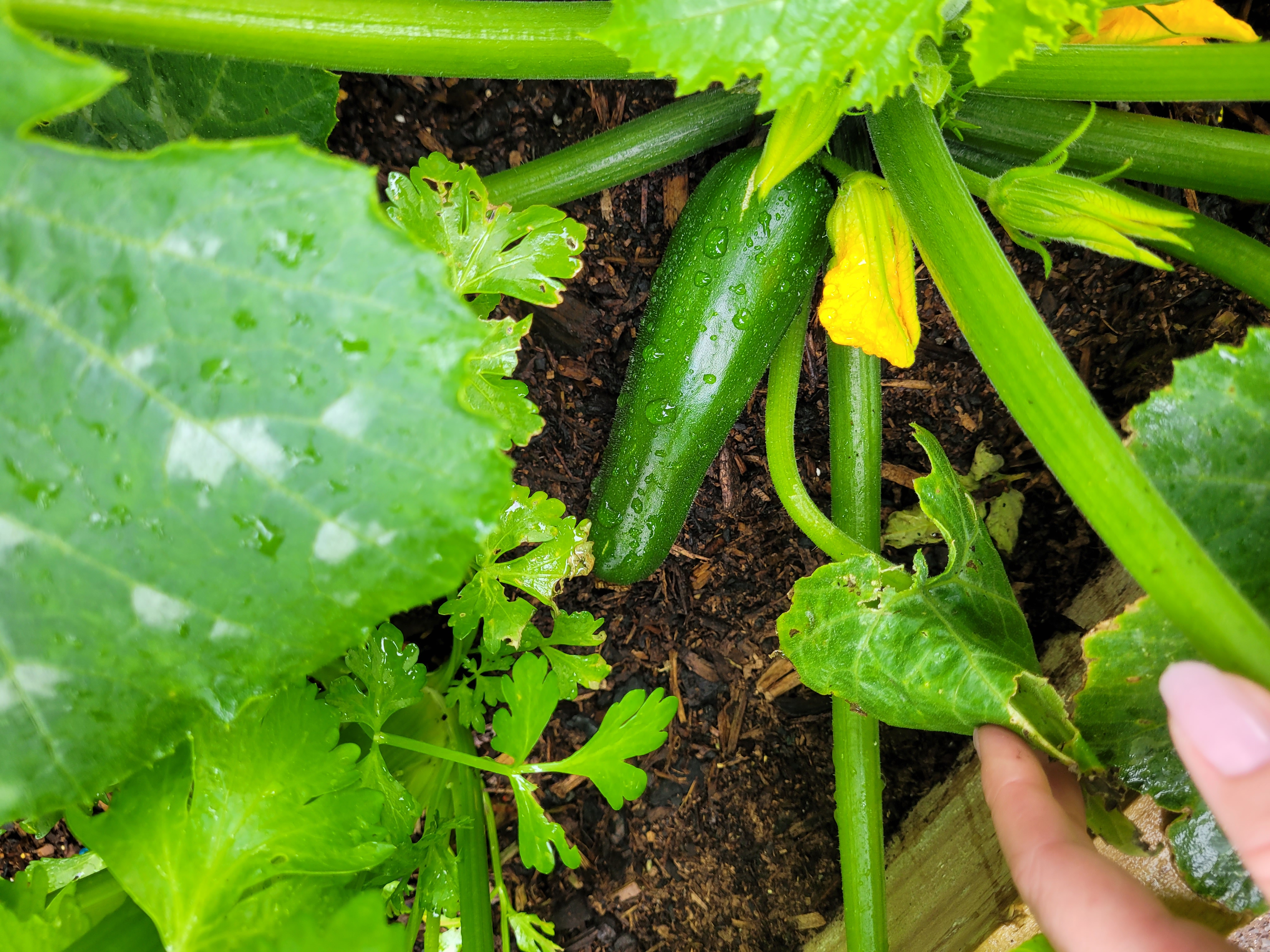 Crazy couple of weeks 