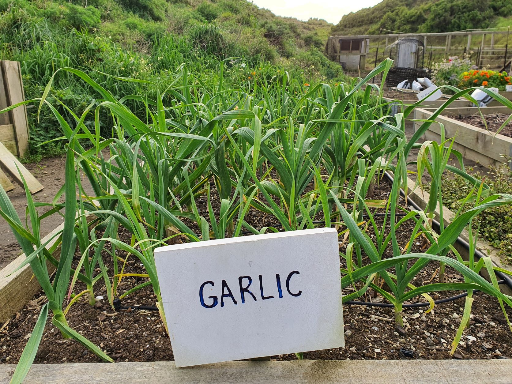 Monday post on a Tuesday