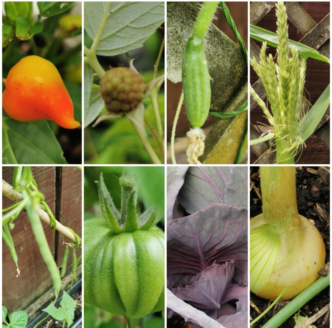 More and more is happening faster and faster! 