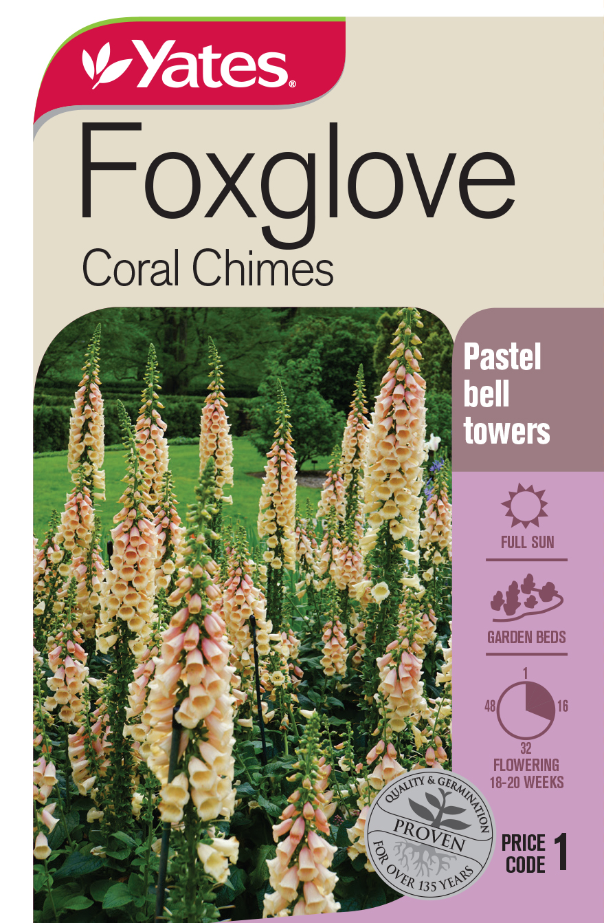 Foxglove 'Coral Chimes'