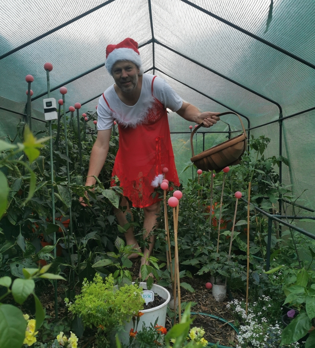 Harvesting Tips.... Christmas PJ edition! Plus Thanks. 