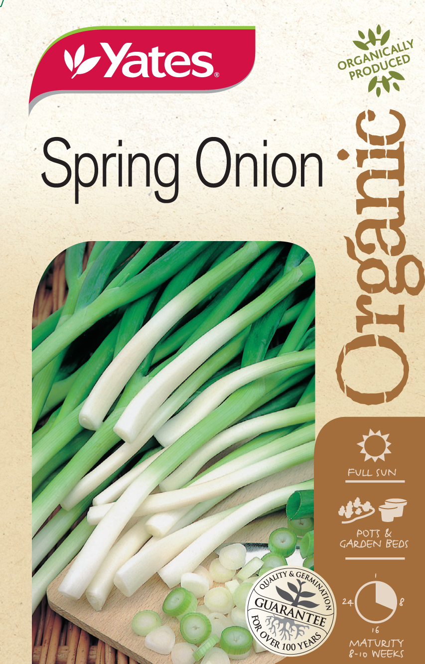 Spring Onion (Organic)