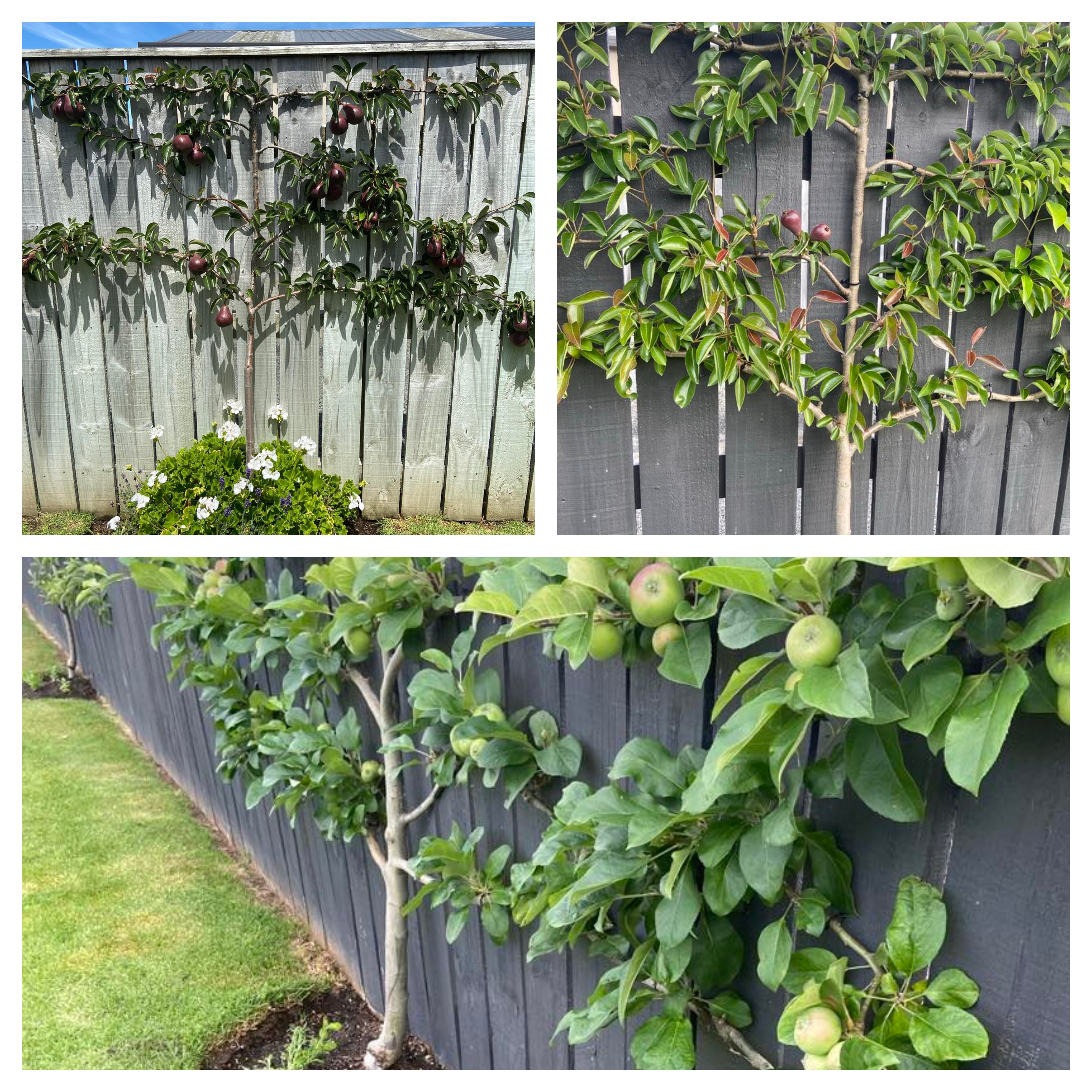 Cyclical? I hope so.