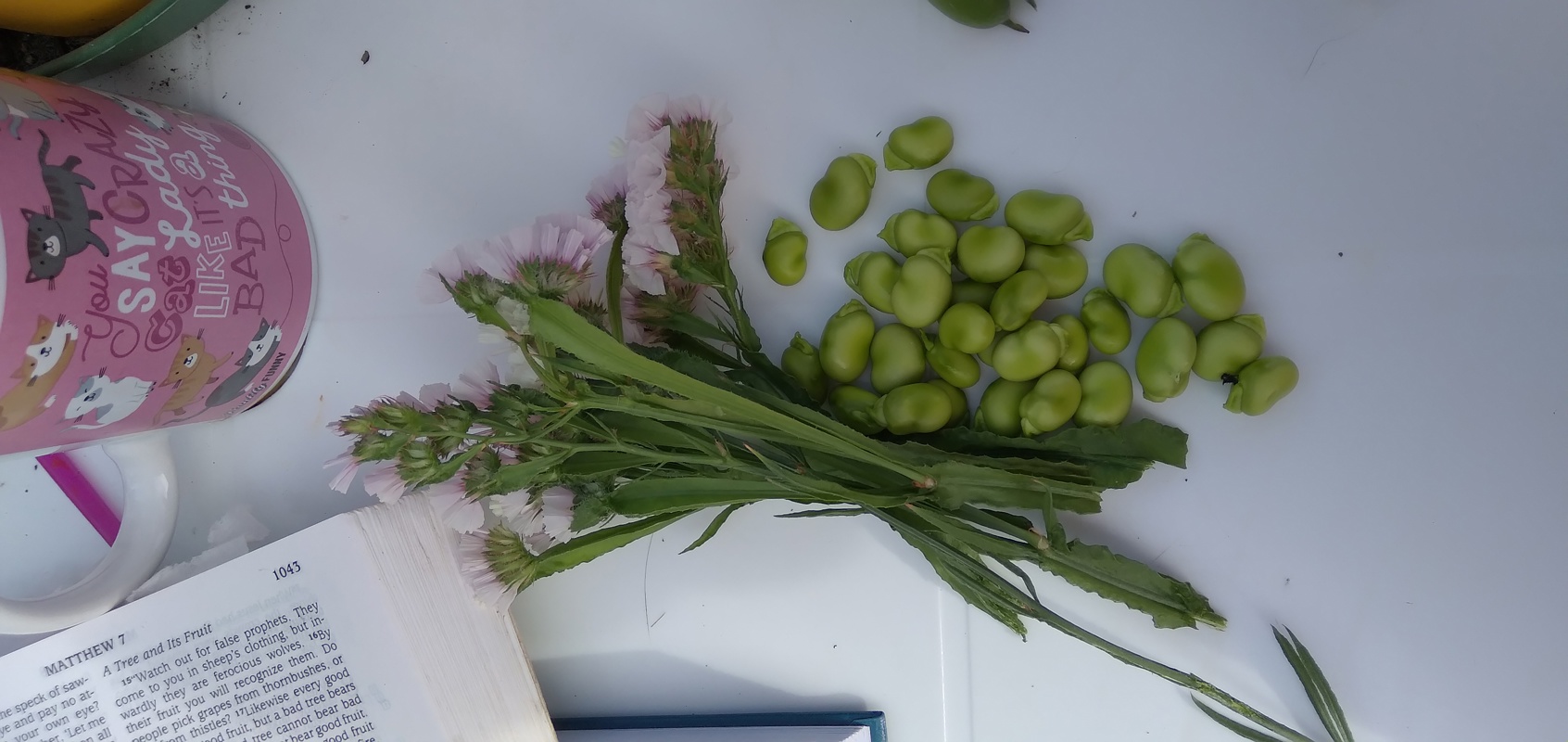 Today's tiny harvest ...