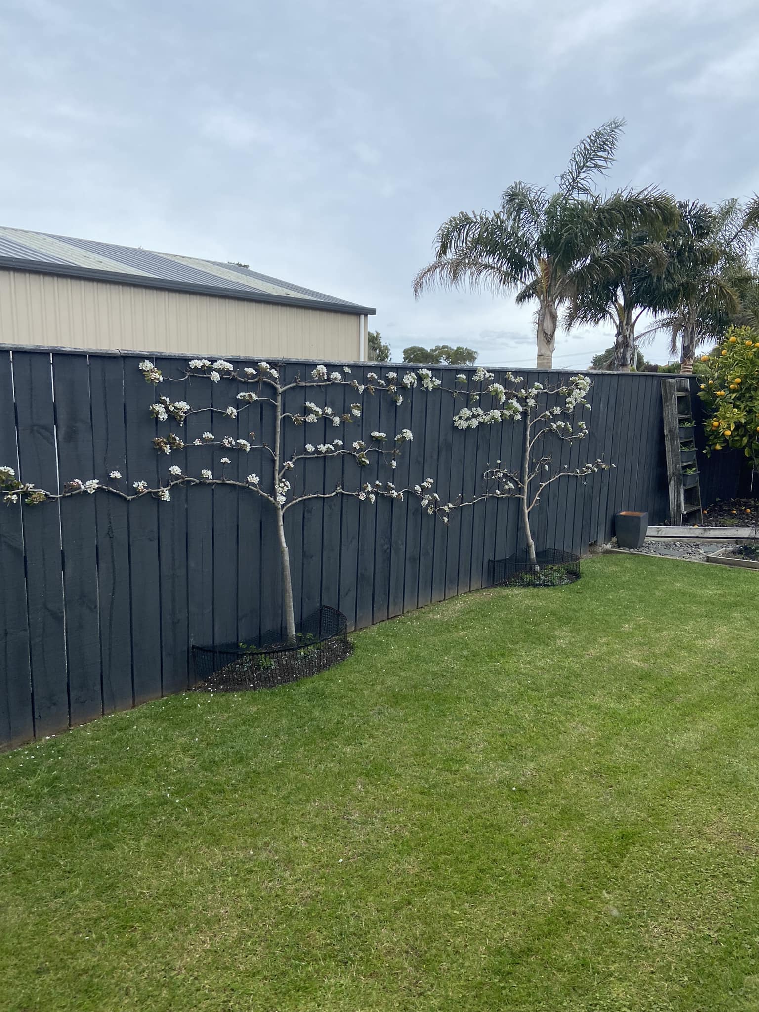 O for awesome October