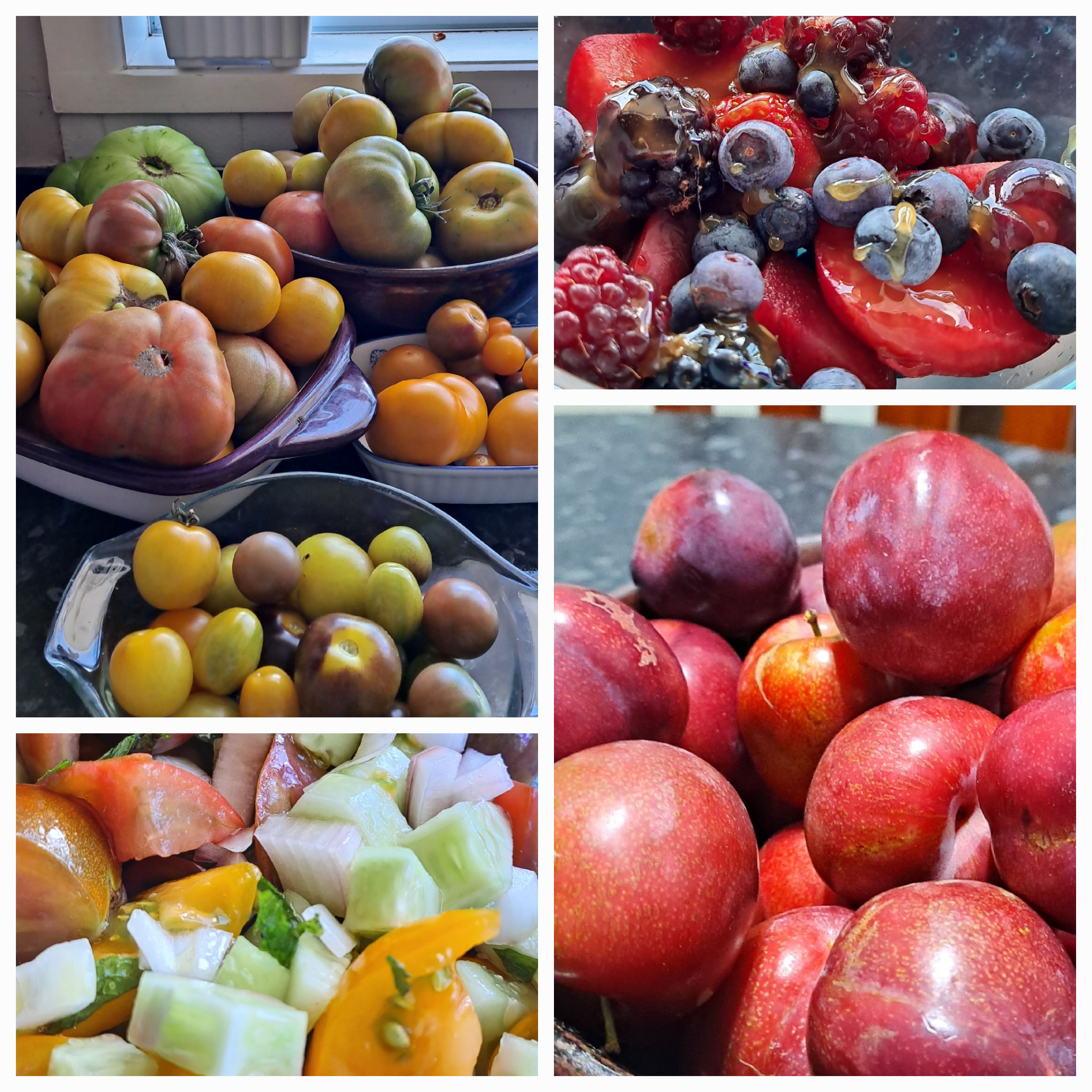 Harvests Are A Plenty