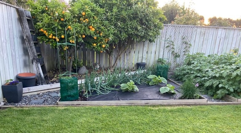 2.5m by 2.5m (approximately)