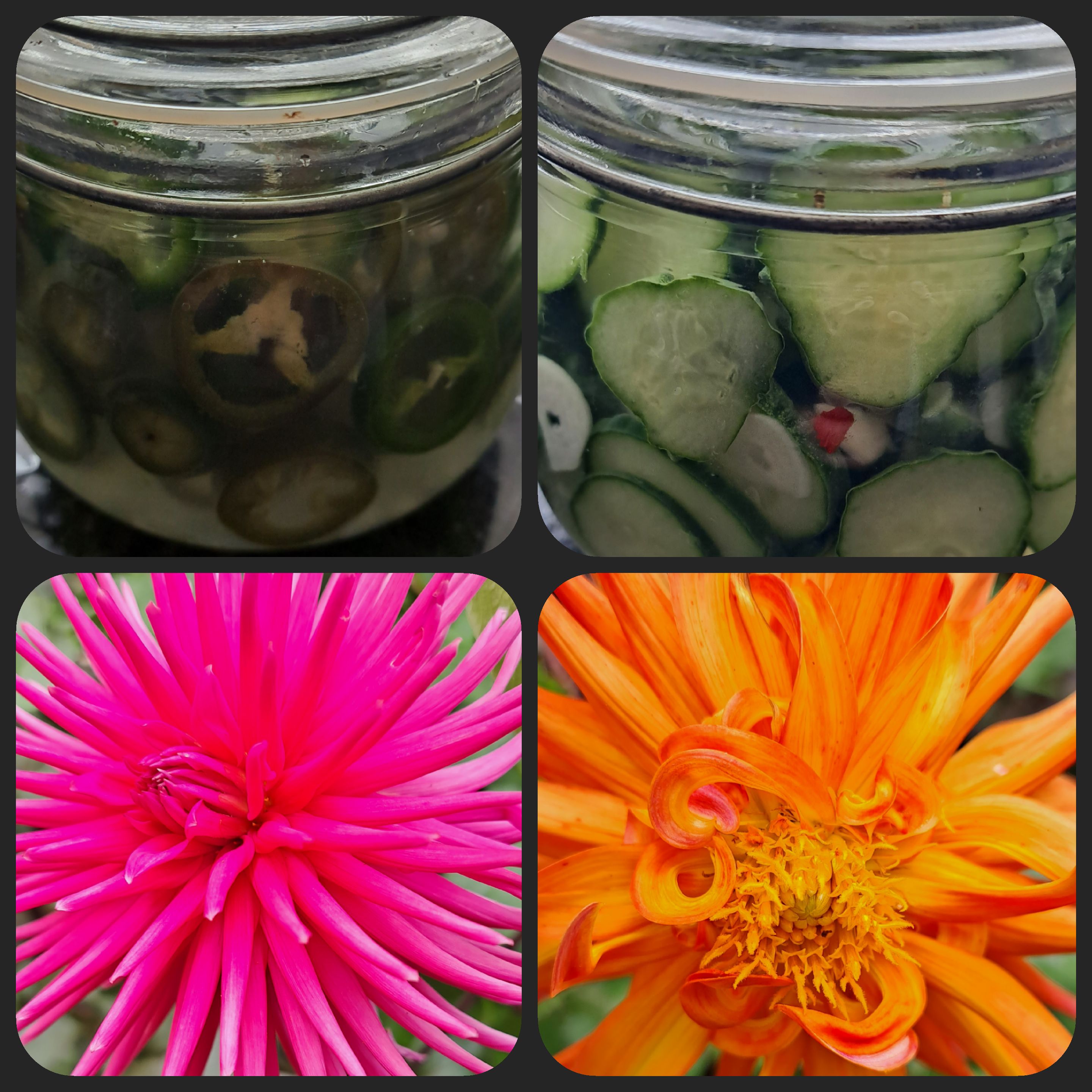 A Start on Preserving