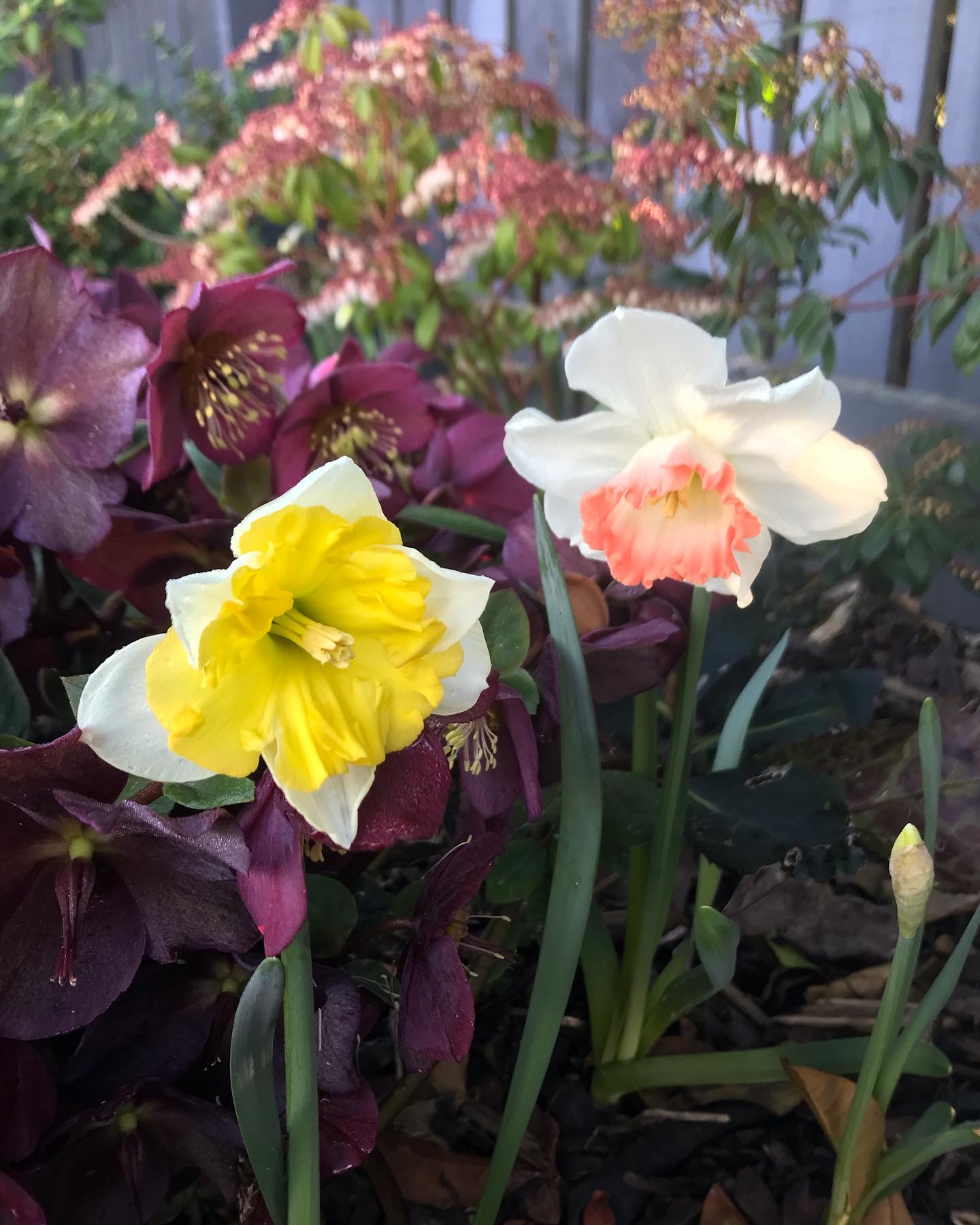 Woohoo it’s spring 