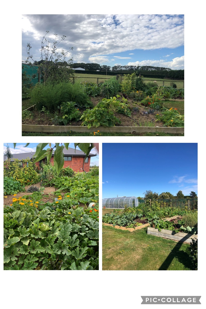Autumn garden