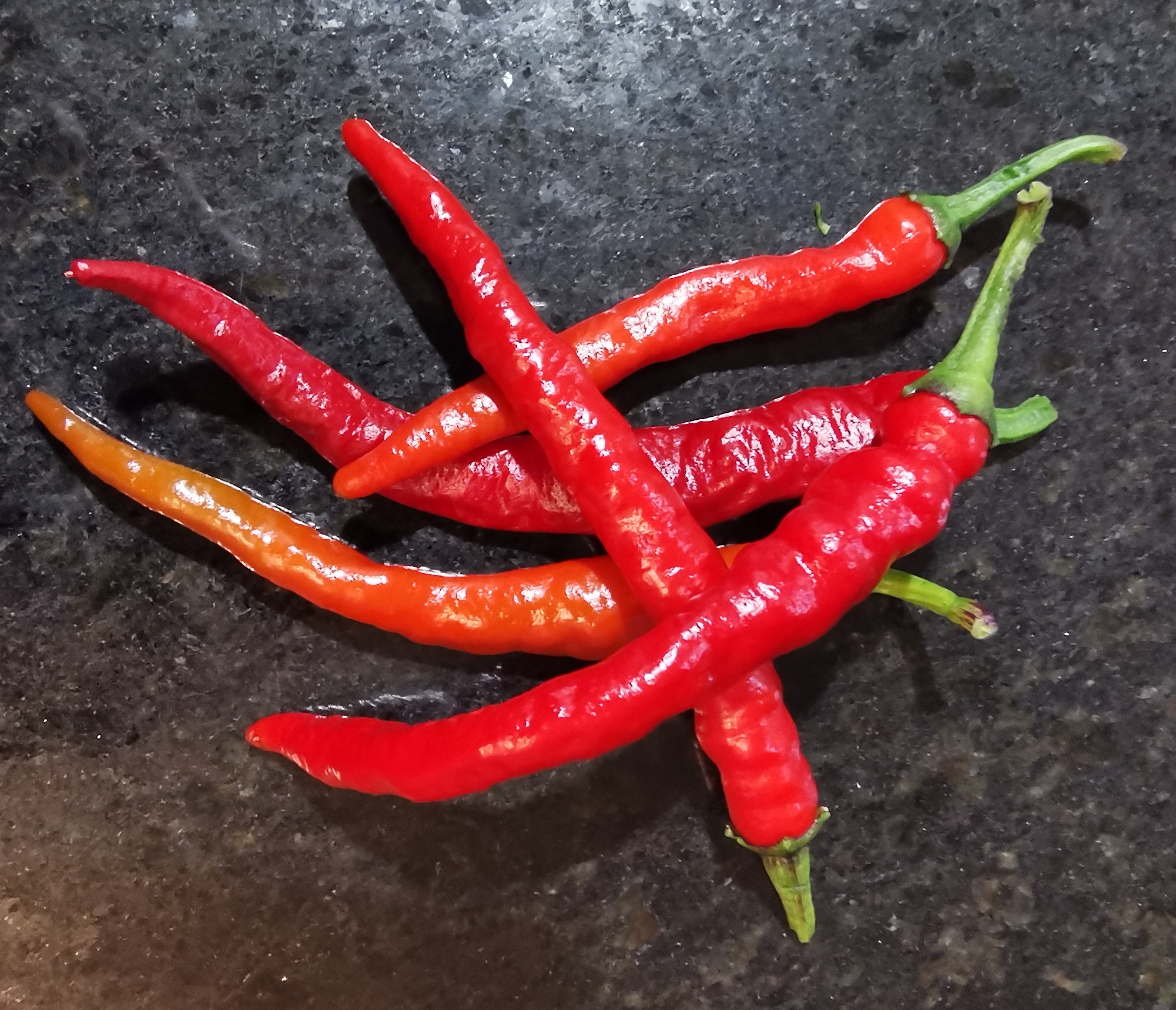 Goa....the gateway to India. 