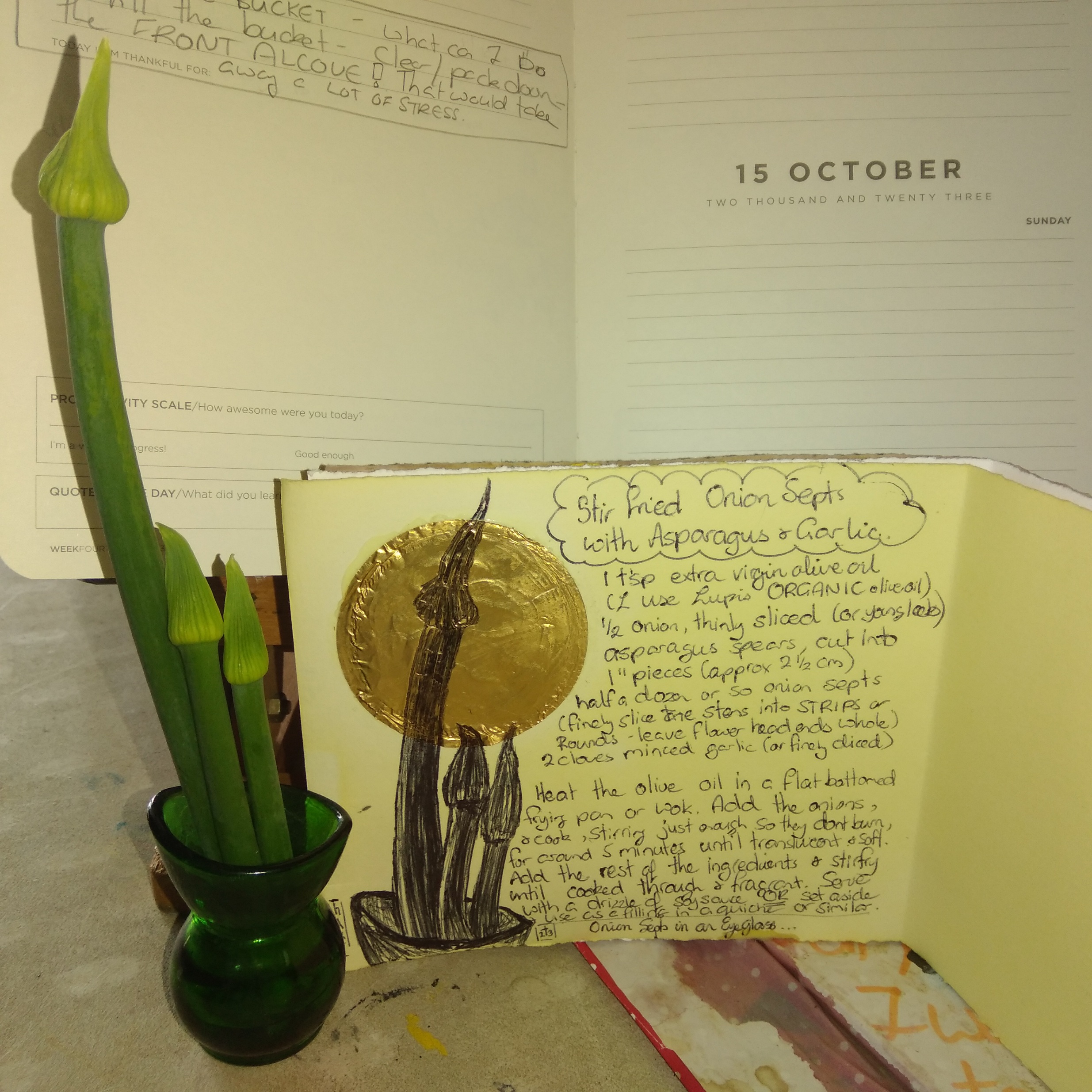 Foodie Friday...Onion Septs 👩‍🍳