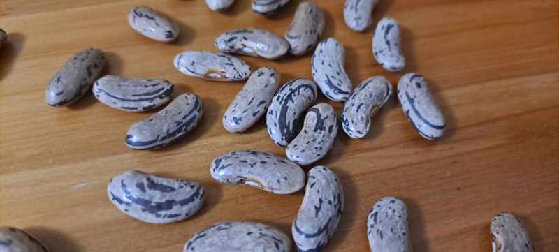 Bean Around