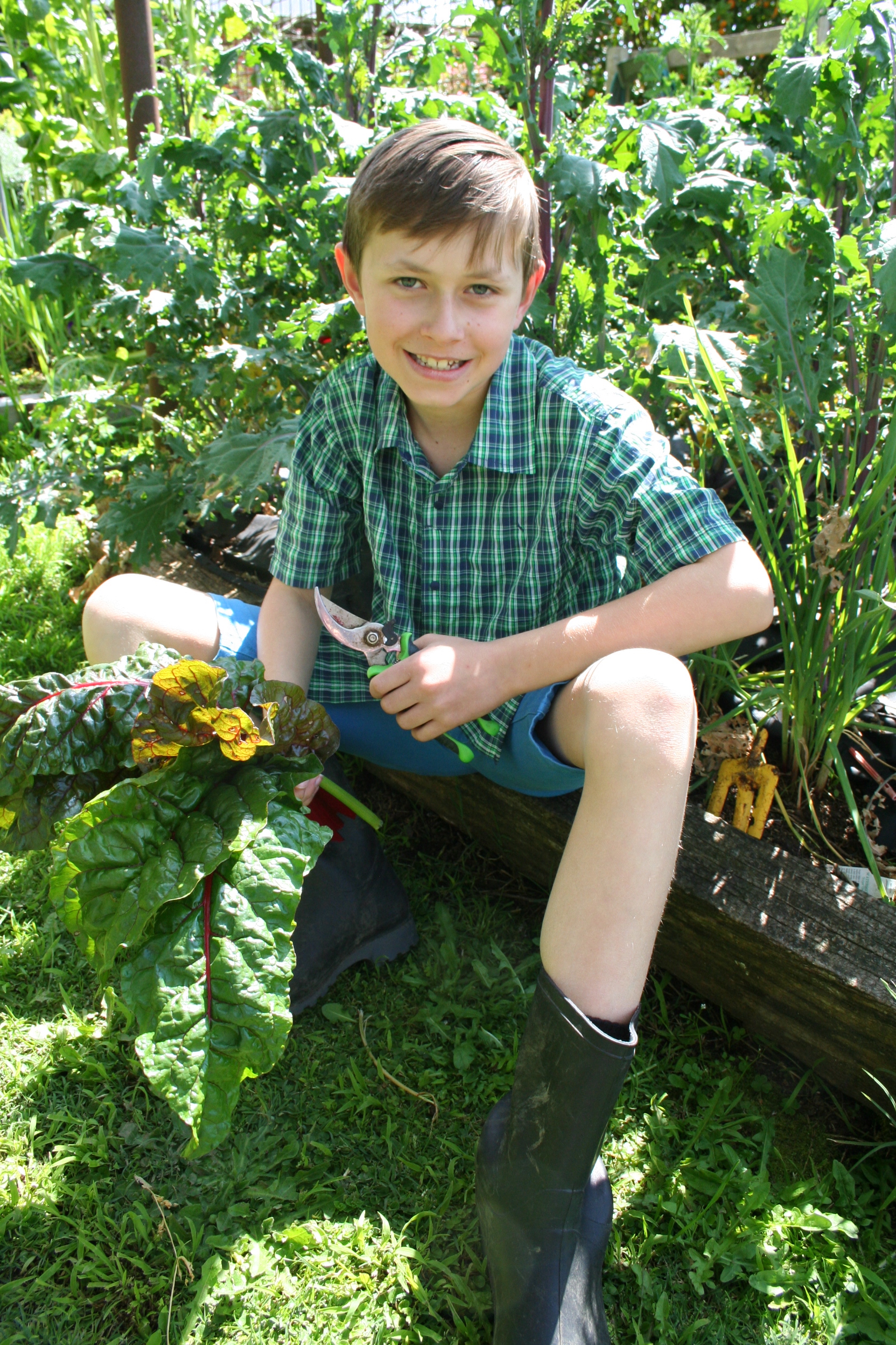 budding-young-gardener-central-north-is-jamie-frost-in-his-garden